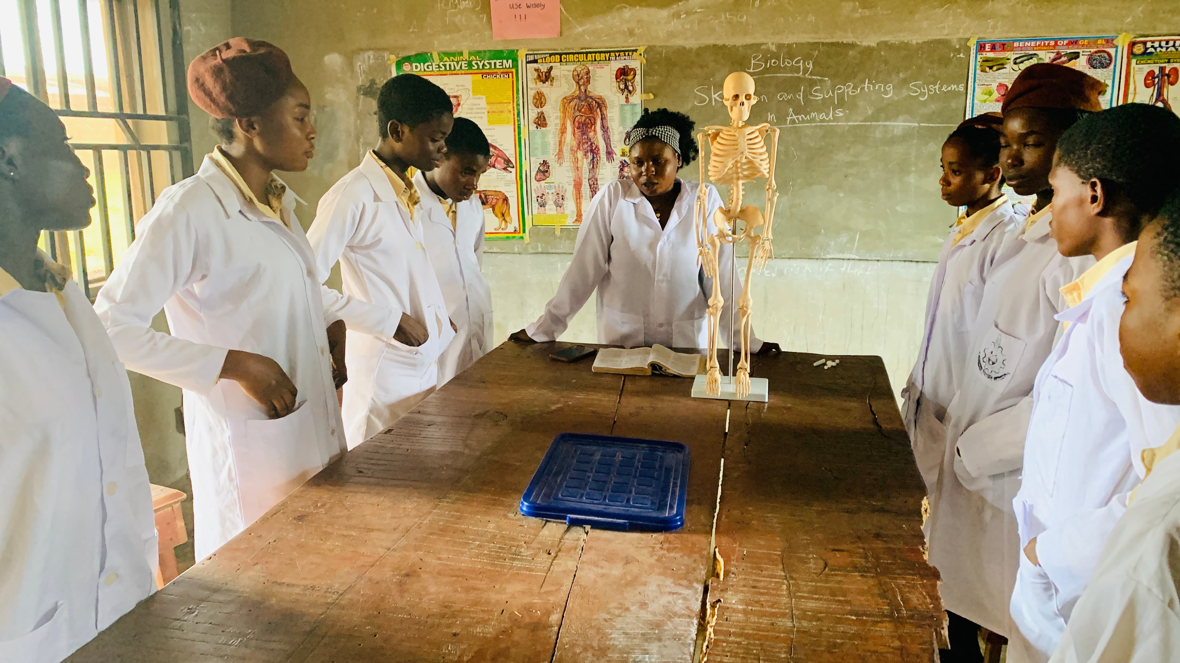 Biology in action